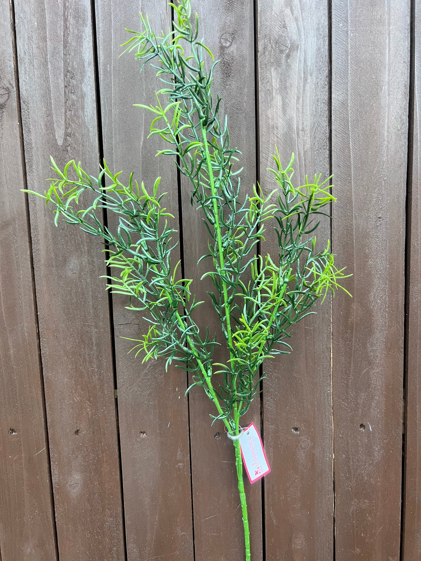75cm GARDEN SPRINGERI SPRAY DARK GREEN
