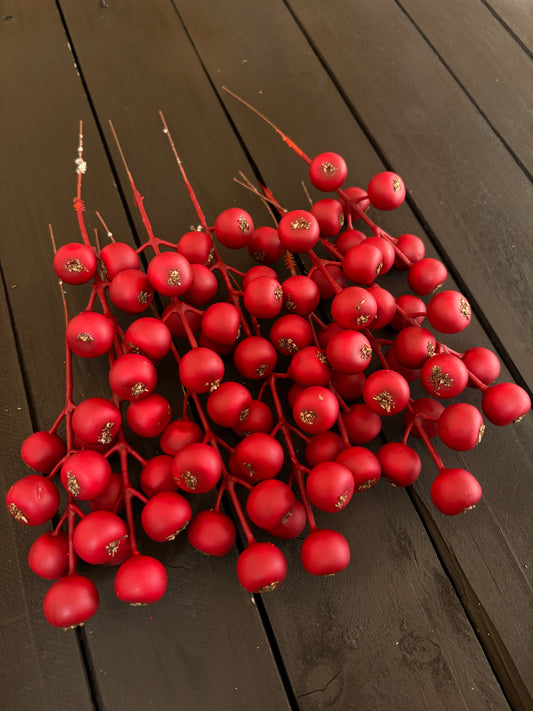 PACK 12 17cm ROSEHIP PICK RED