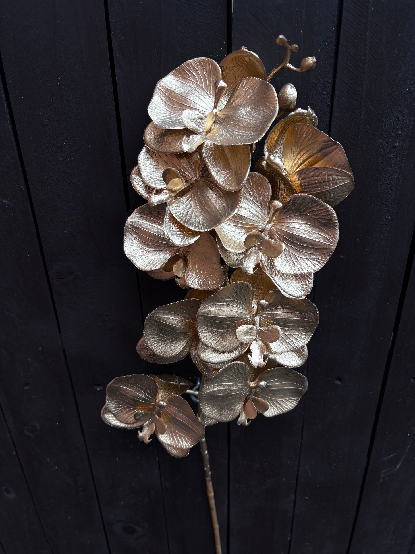 77cm METALLIC GOLD ORCHID