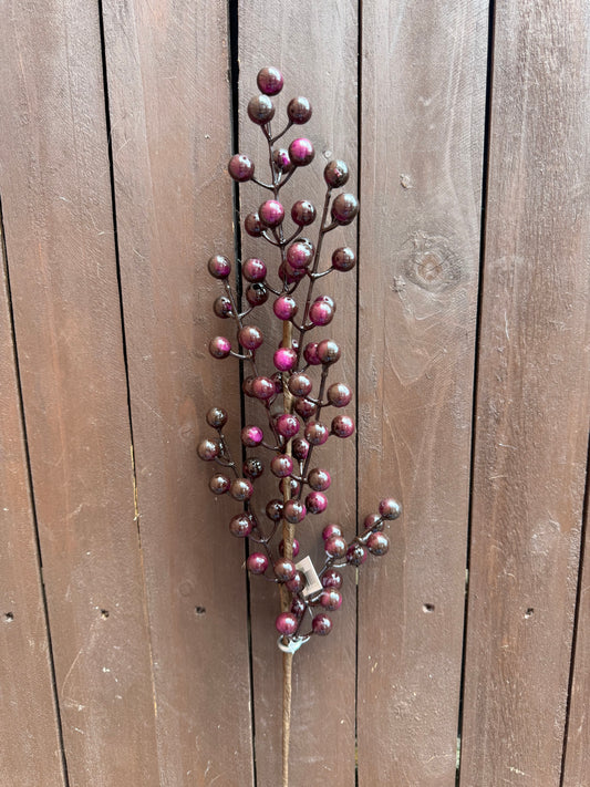 SEASONAL BERRY STEM GRAPE