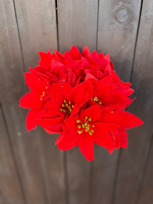 PK24 13cm SINGLE VELVET TOUCH POINSETTIA