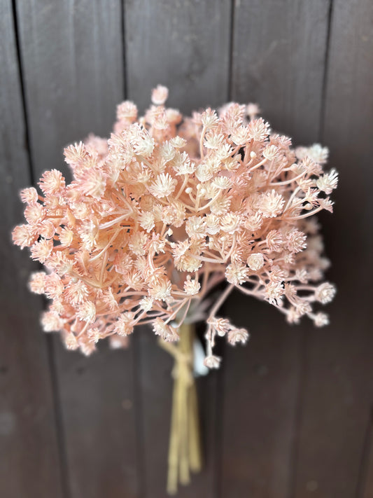 DRIED LOOK GYP BUNCH PALE PINK