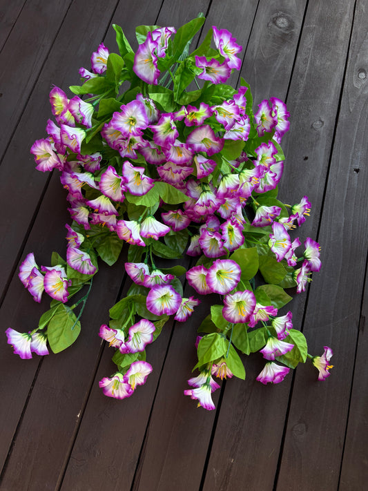 TRAILING MORNING GLORY LILAC/WHITE