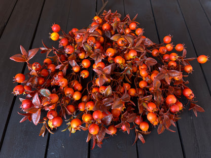 PACK 12 23cm LEAFY ROSEHIP ORANGE