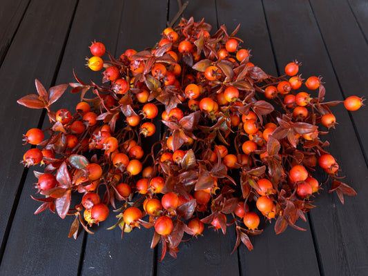 PACK 12 23cm LEAFY ROSEHIP ORANGE