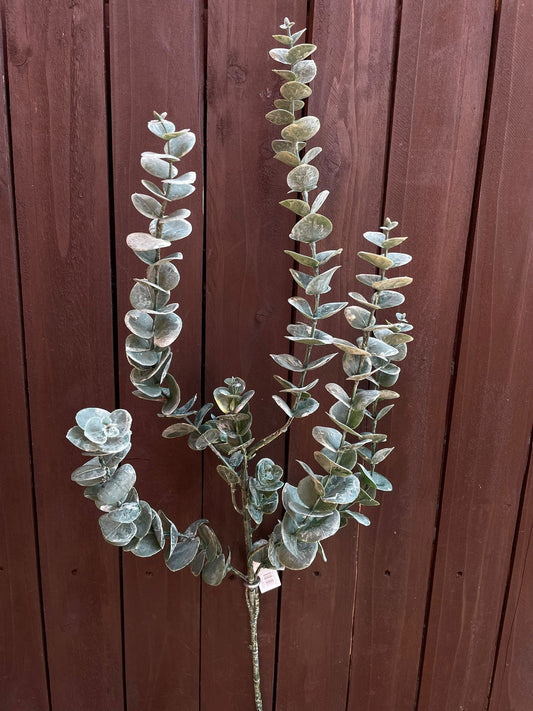 WAXED DELUXE EUCALYPTUS