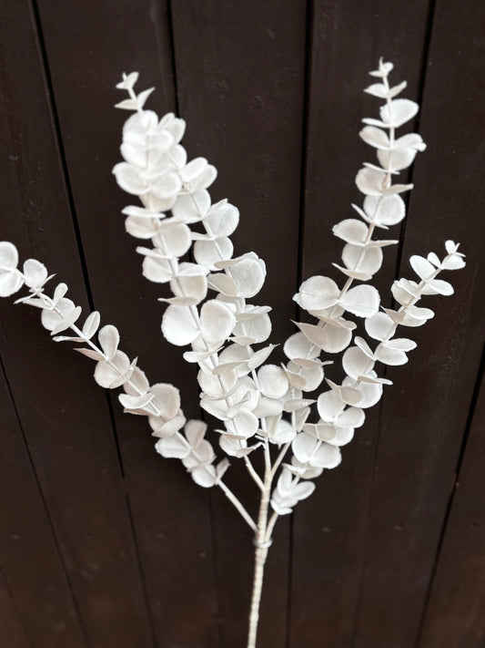 LONG STEM EUCALYPTUS WHITE