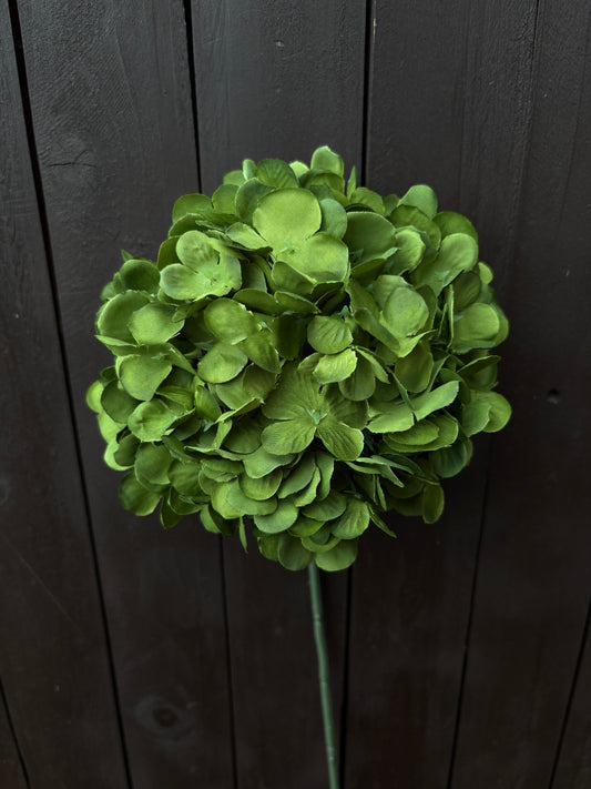 LARGE SINGLE HYDRANGEA STEM EMERALD GREEN