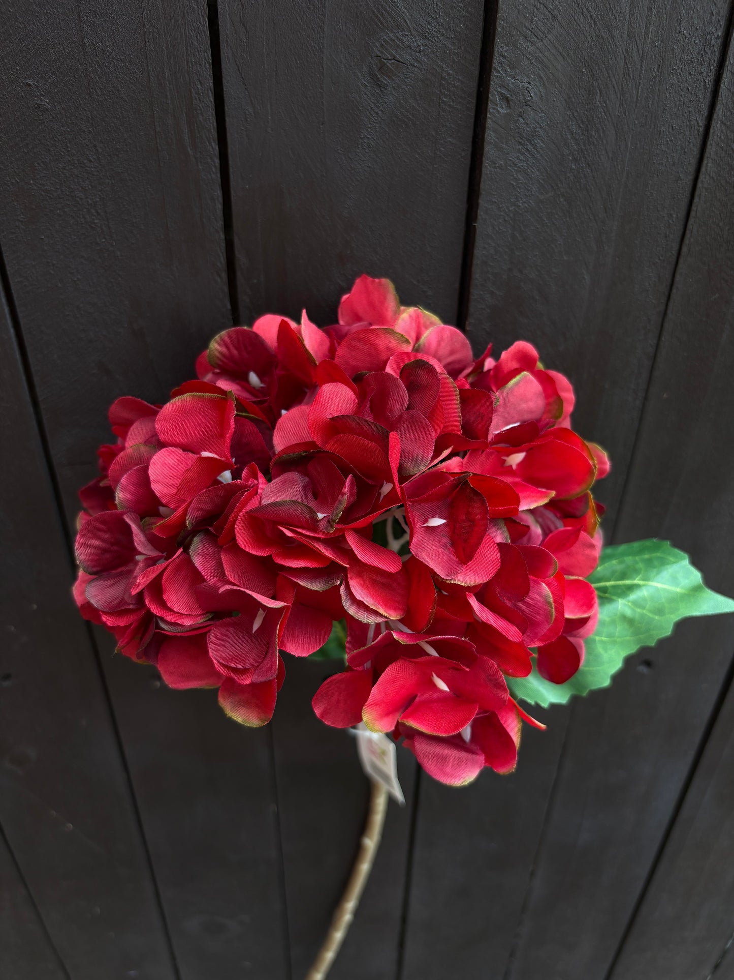 46CM SINGLE HYDRANGEA BURNGUNDY