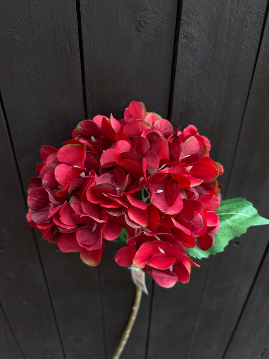 46CM SINGLE HYDRANGEA BURNGUNDY