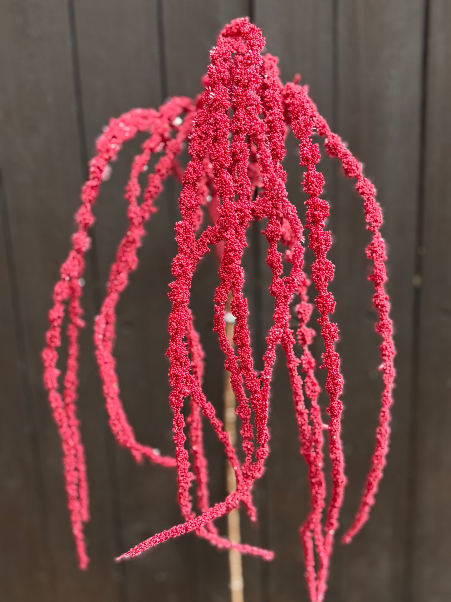 SEEDED AMARANTHUS RED