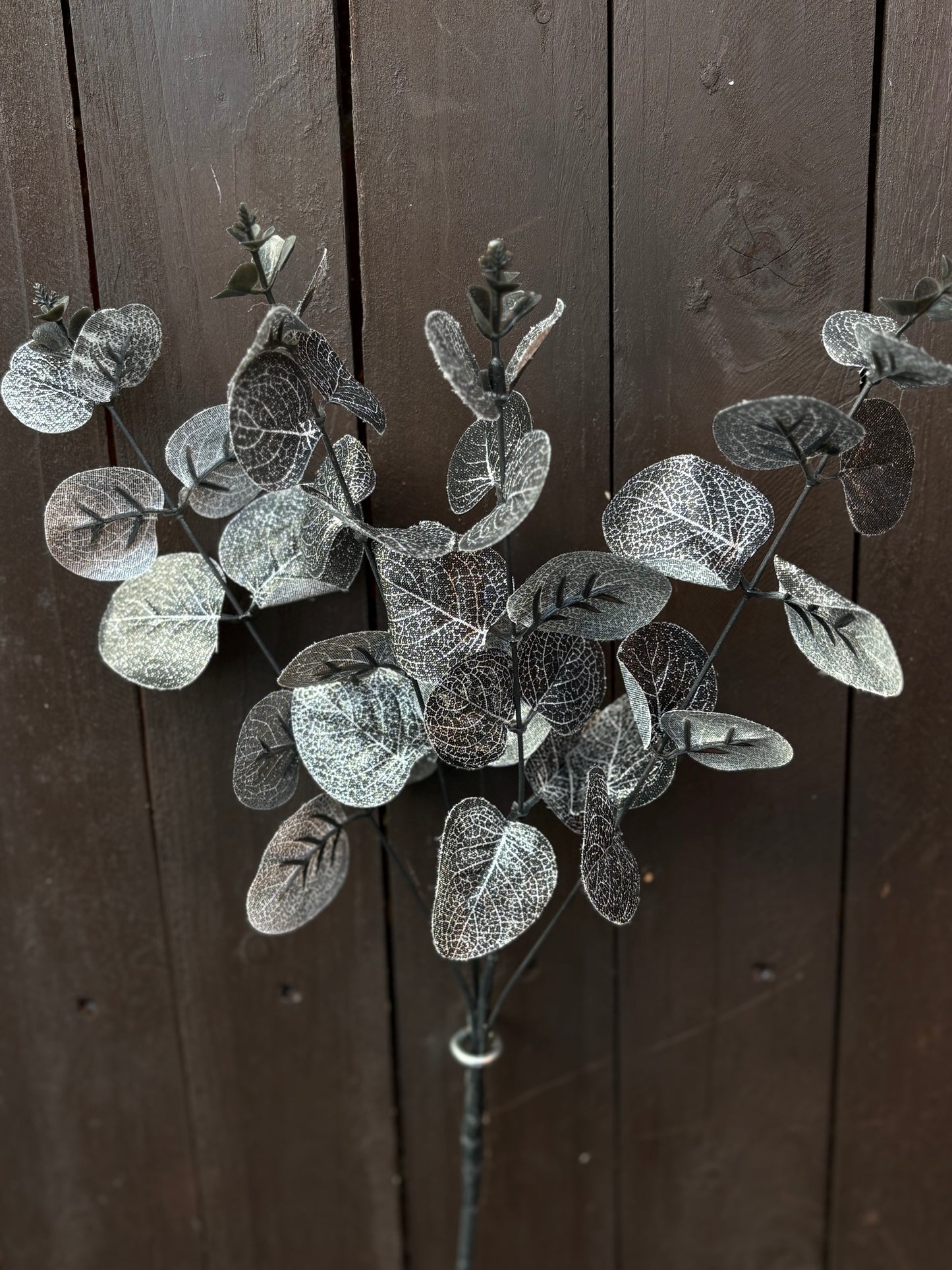 SINGLE LONG STEM EUCALYPTUS BLACK/SILVER GLITTER