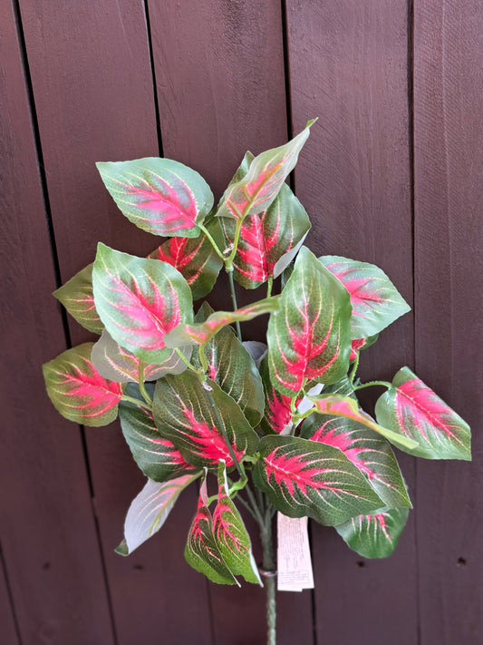 MEDIUM VEINED DAGAHRA LEAF BUNCH PINK/GREEN