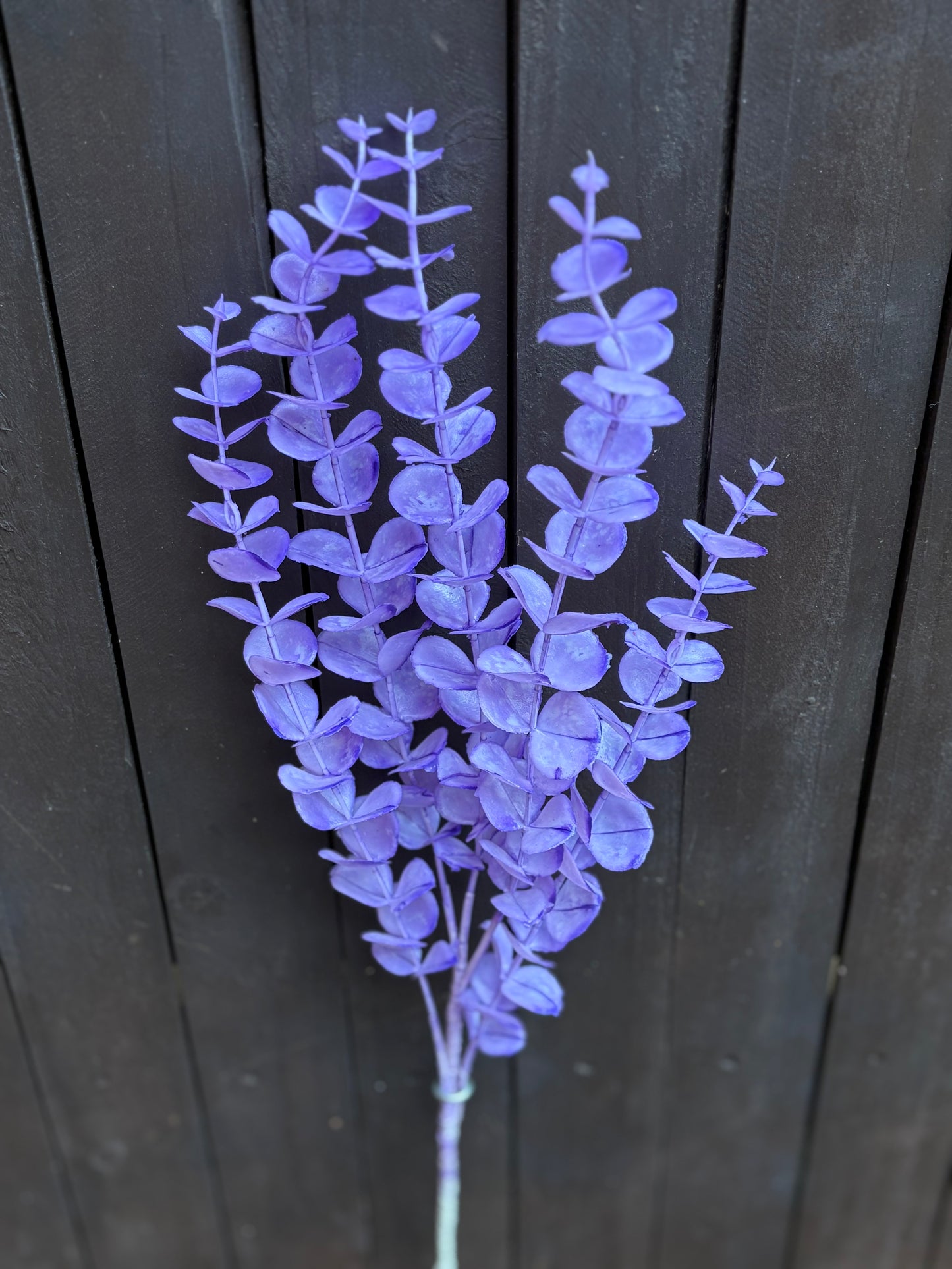 LONG STEM EUCALYPTUS LILAC