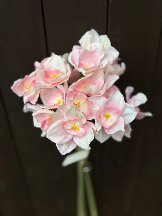 SILK NARCISSUS STEMS PALE PINK