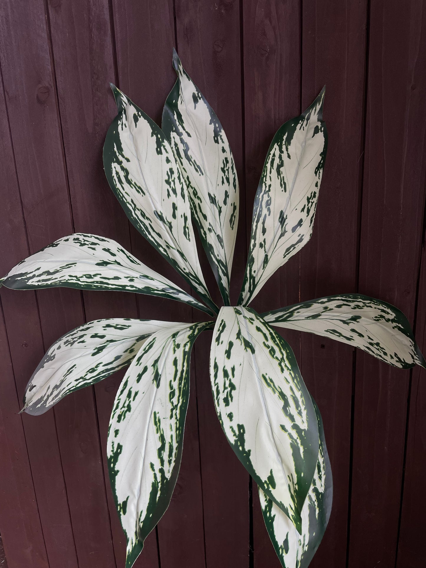 GIANT PLANTER LEAF GREEN MOCKLE