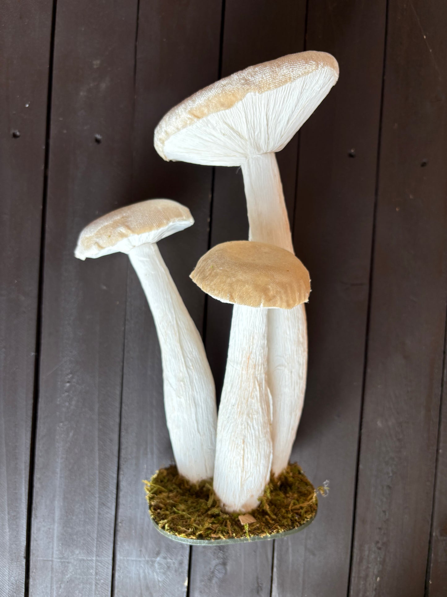 30cm VELVET STANDING MUSHROOM TRIO IVORY