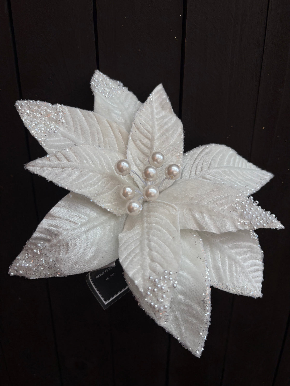 26cm PEARL FROST POINSETTIA WHITE