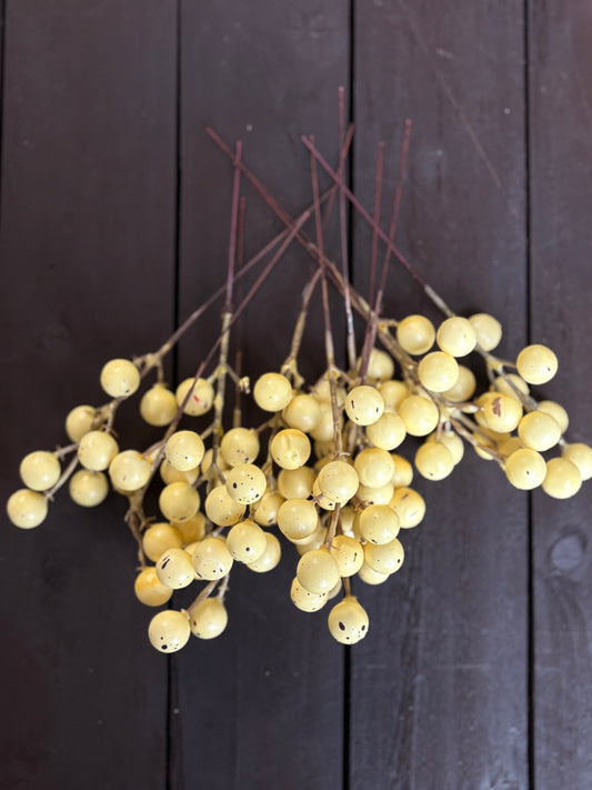 PASTEL MINI EGG BERRY YELLOW PK12