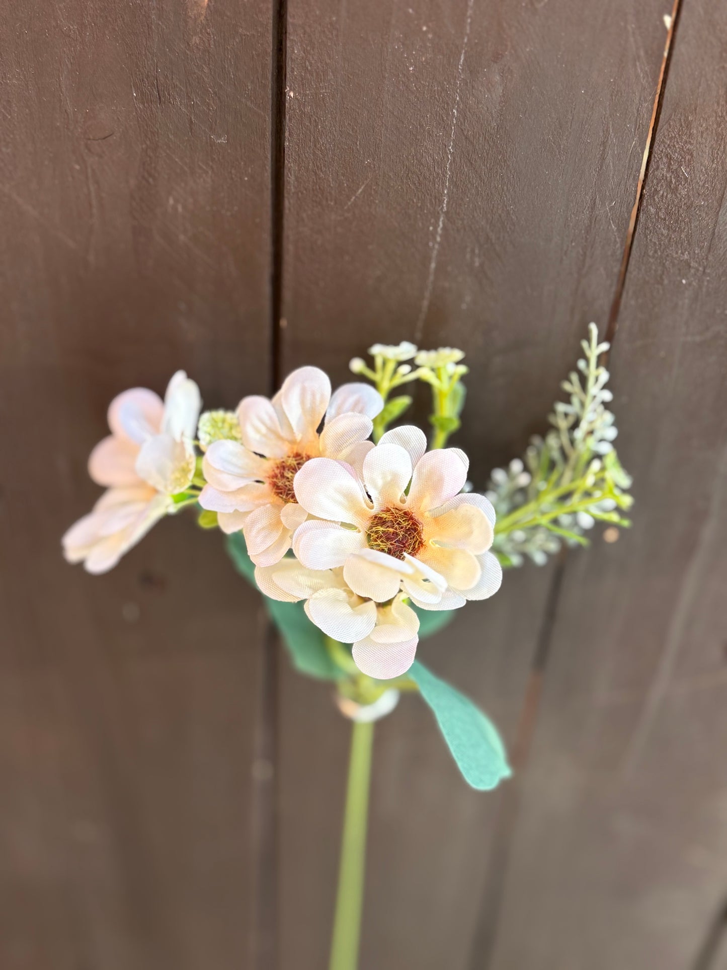 LONG STEM DAISY SPRIG CREAM