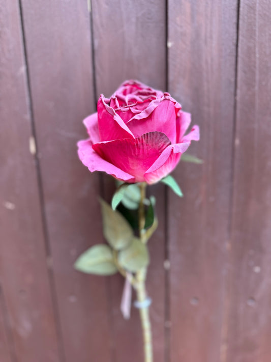 67cm PREMIUM SINGLE LARGE CRUNCH GLOBE ROSE BURGUNDY