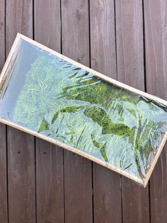 MOSS BOX GREEN