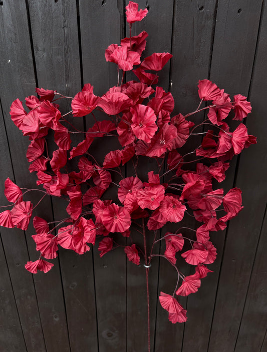 MORNING GLORY BRANCH RED
