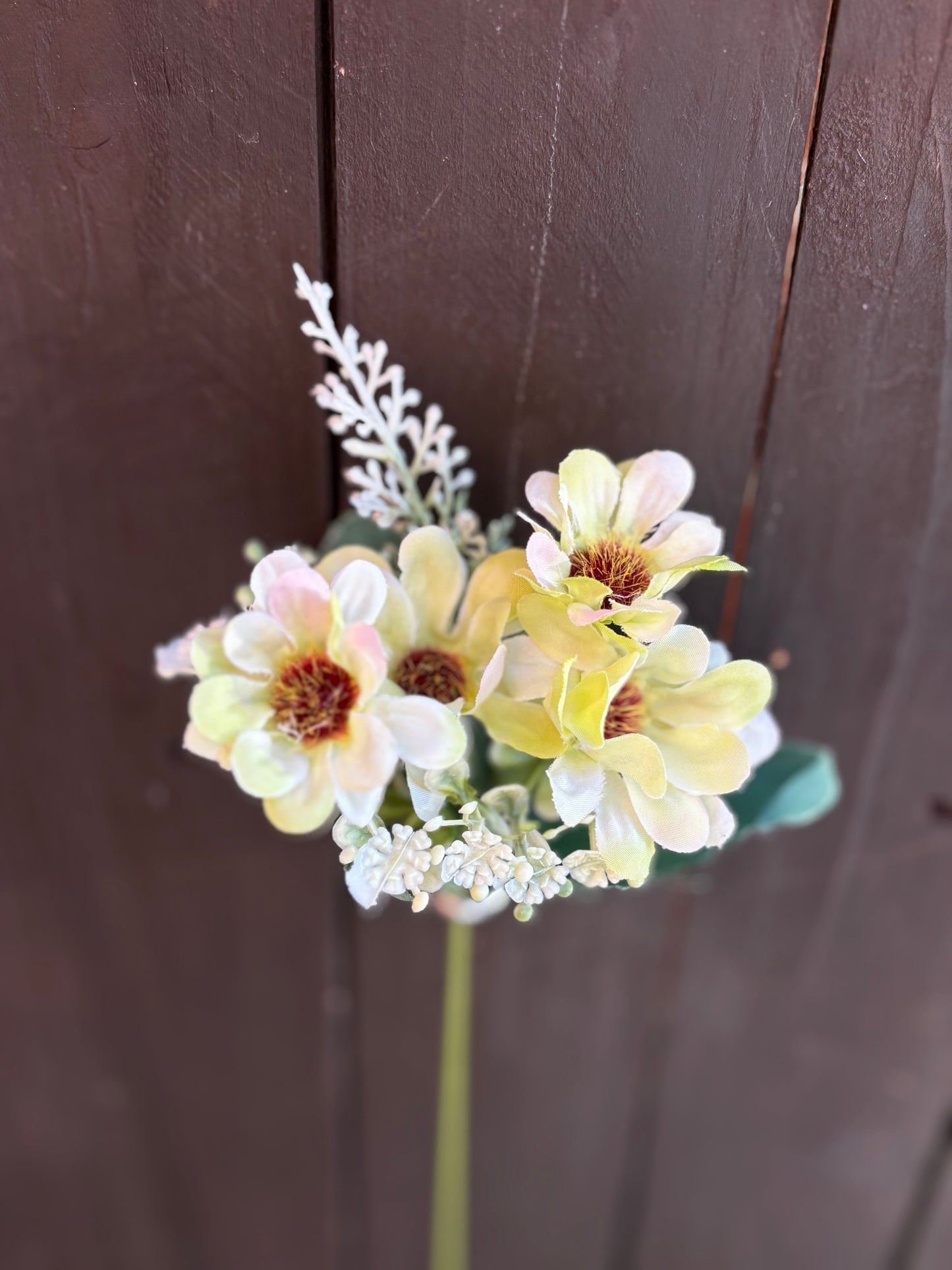 LONG STEM DAISY SPRIG GREEN