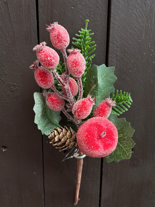 25cm SUGARED APPLE & ROSEHIP PICK