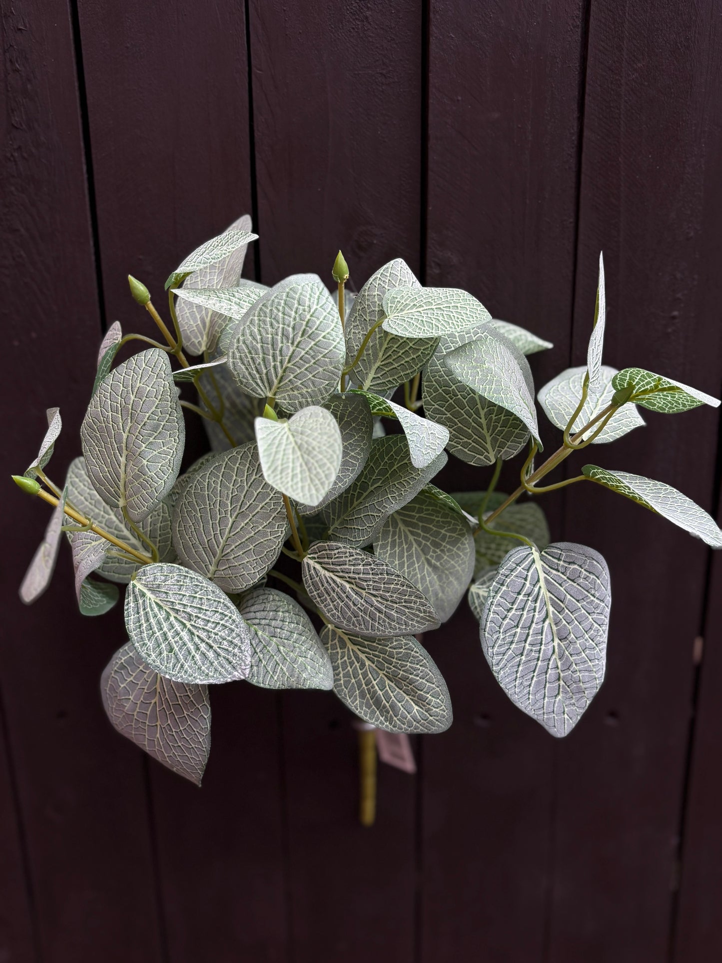 35cm FITTONIA LEAF BUSH GREEN