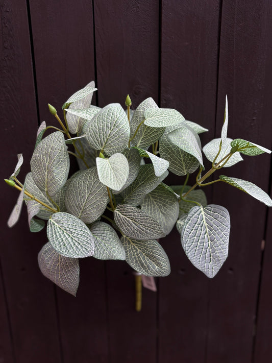 35cm FITTONIA LEAF BUSH GREEN
