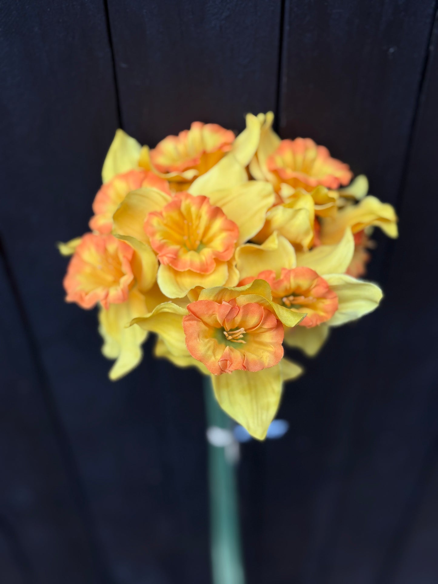 RUFFLED DAFFODIL STEMS YELLOW