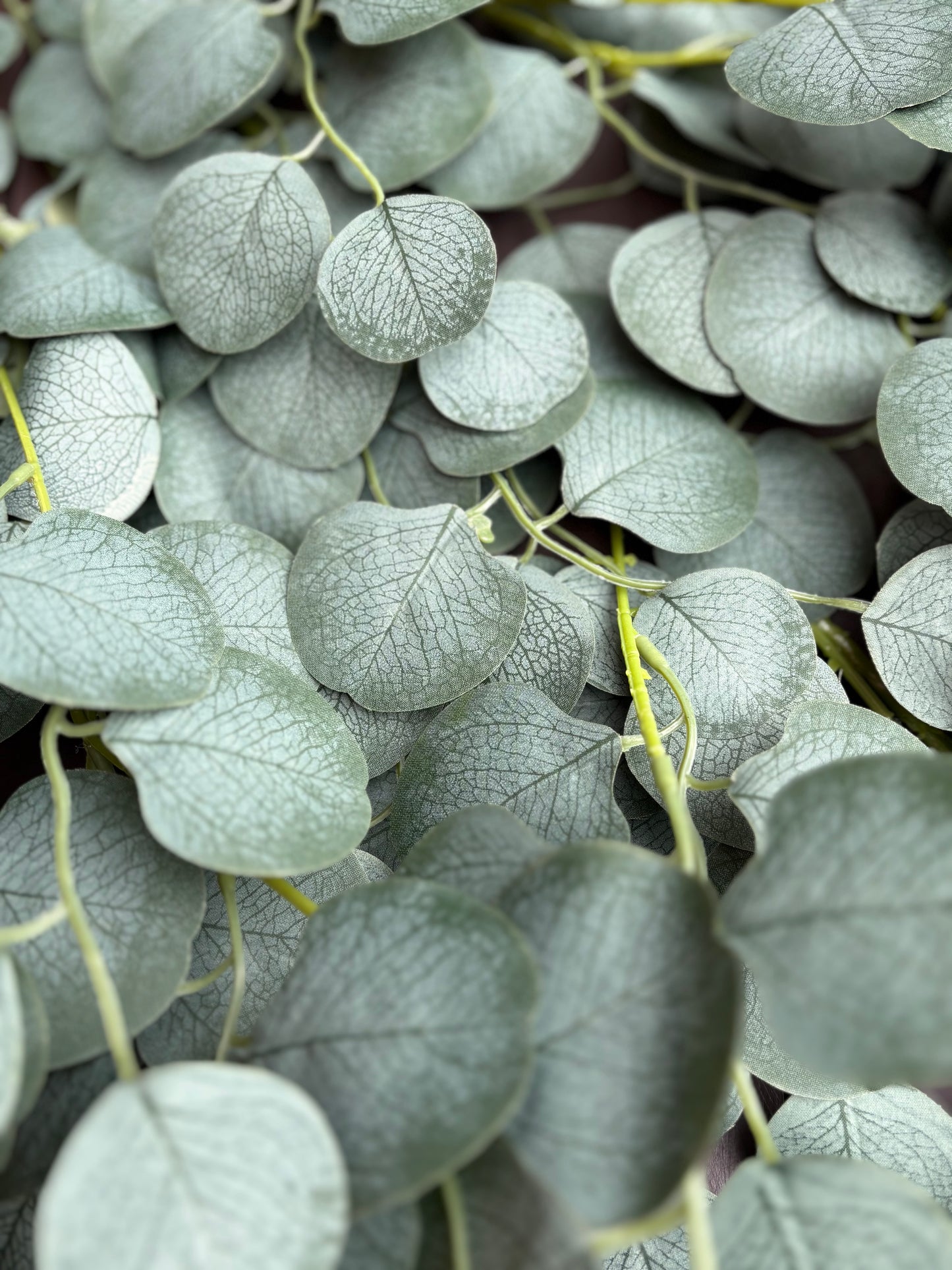 127cm LARGE TRAILING EUCALYPTUS GREY