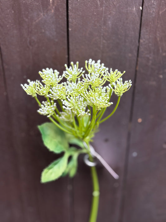 33cm QUEEN ANNES LACE SPRAY IVORY