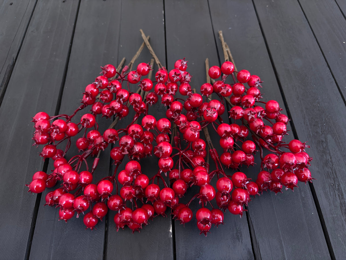 PACK 12 20cm GLOSSY ROSEHIP RED