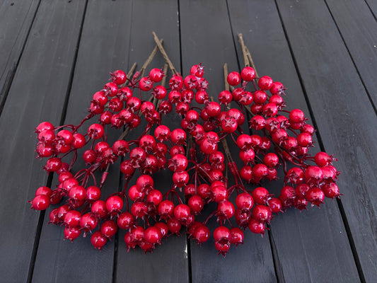PACK 12 20cm GLOSSY ROSEHIP RED