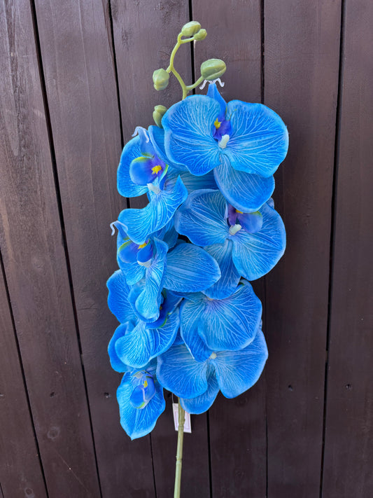 105cm PHALAENOPSIS ORCHID SPRAY BLUE