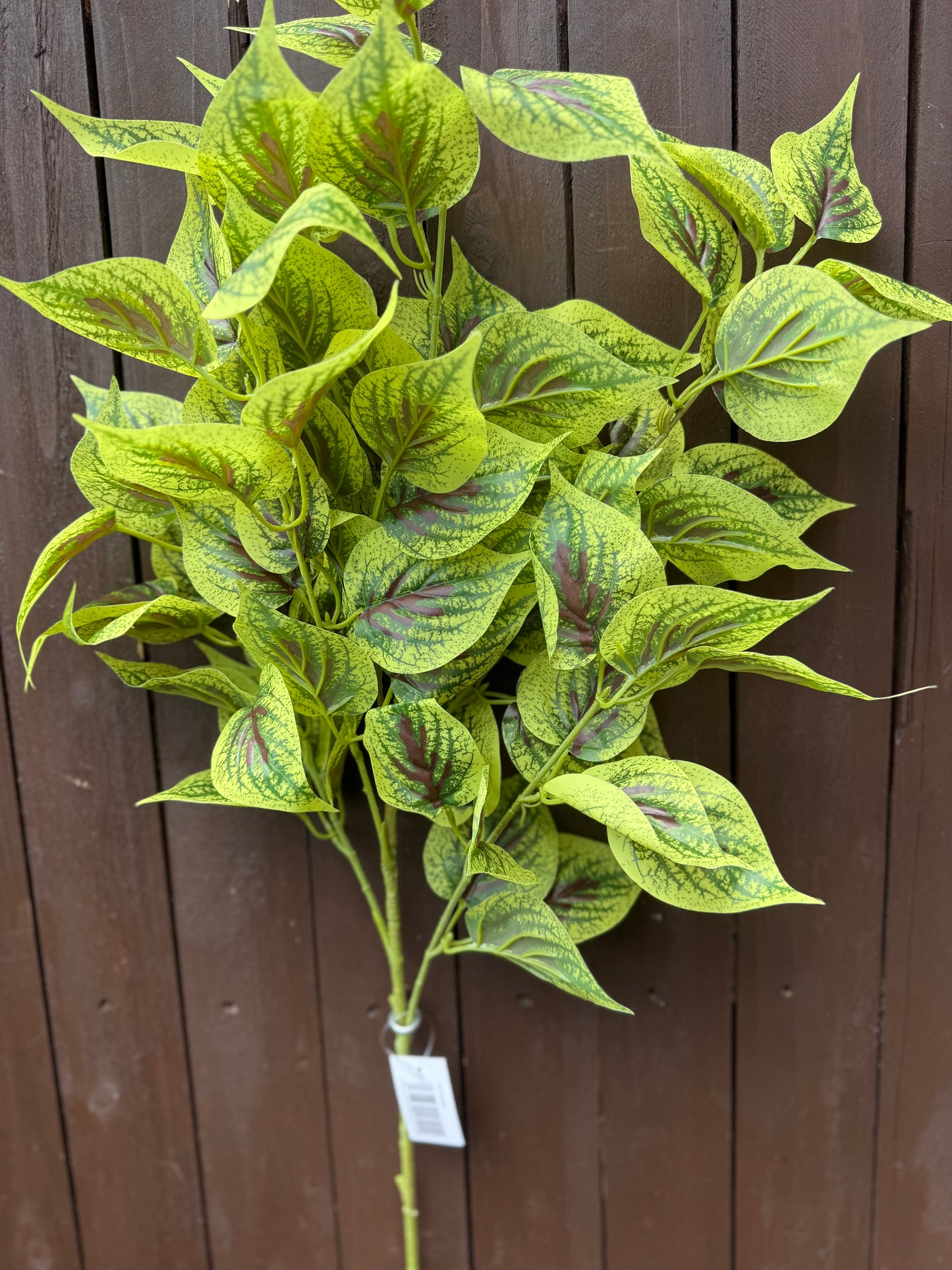 GIANT DELUXE SEBASTIAN SPRAY