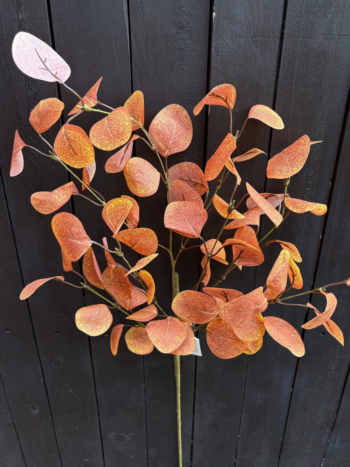 70cm EUCALYPTUS SPRAY ORANGE/BROWN