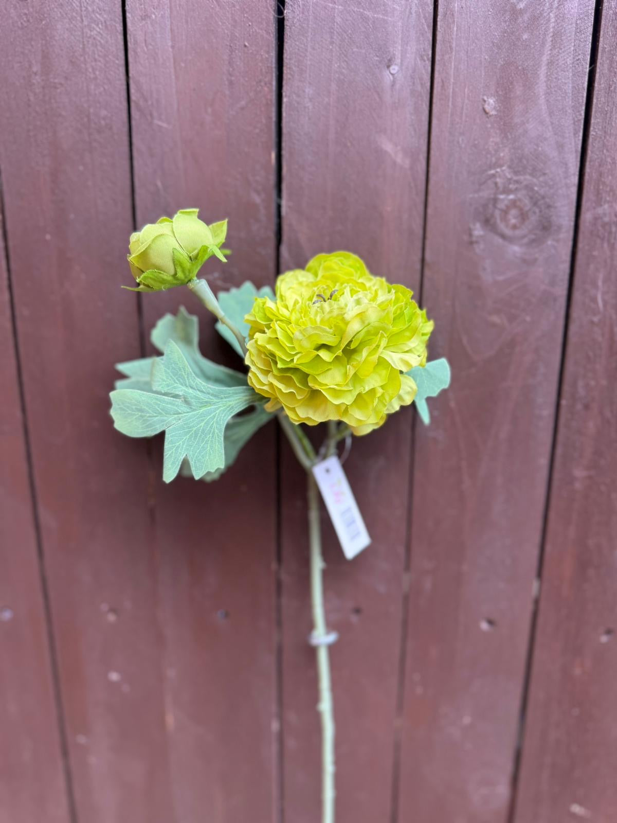 45cm RANUNCULUS SPRAY GREEN