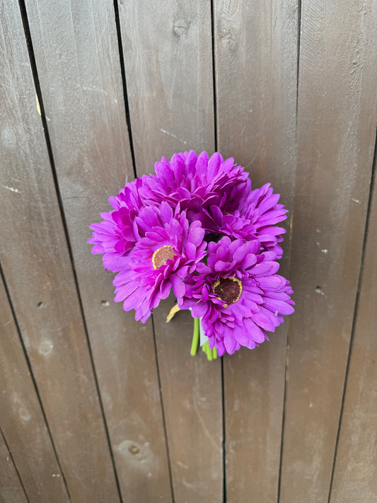 23cm GERBERA BUNDLE (6 STEMS) PURPLE