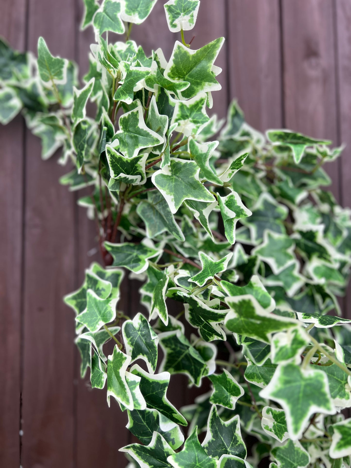 120cm REAL LOOK IVY TRAIL VARIEGATED