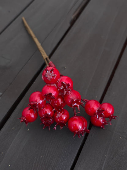 PACK 12 20cm GLOSSY ROSEHIP RED