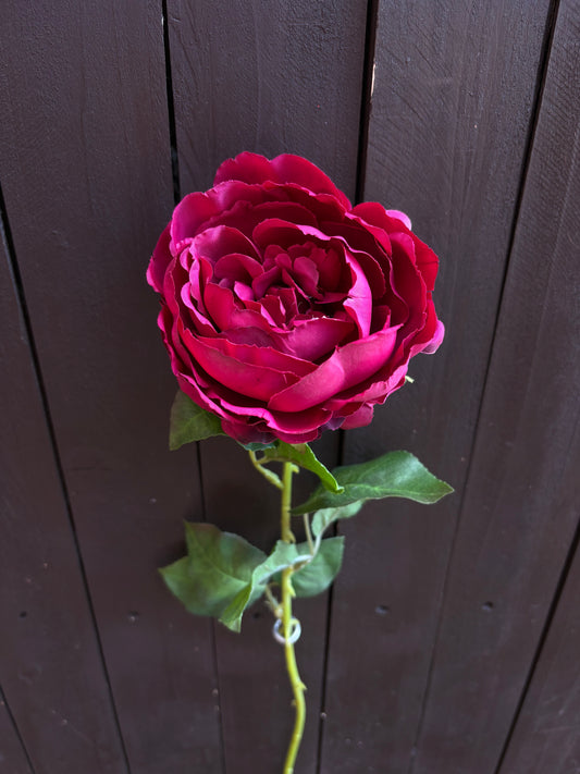 64cm SINGLE LOLA PEONY STEM HOT PINK