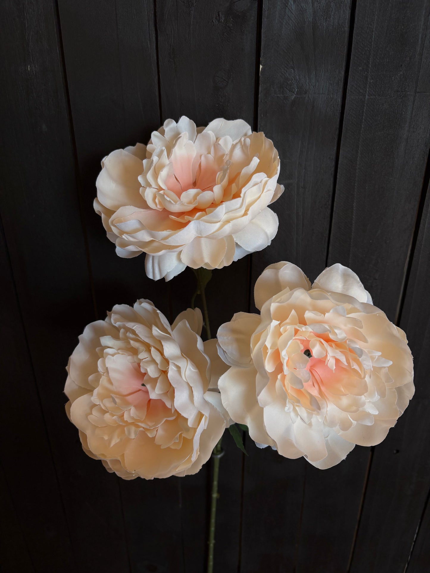 TRIPLE LARGE PEONY STEM APRICOT
