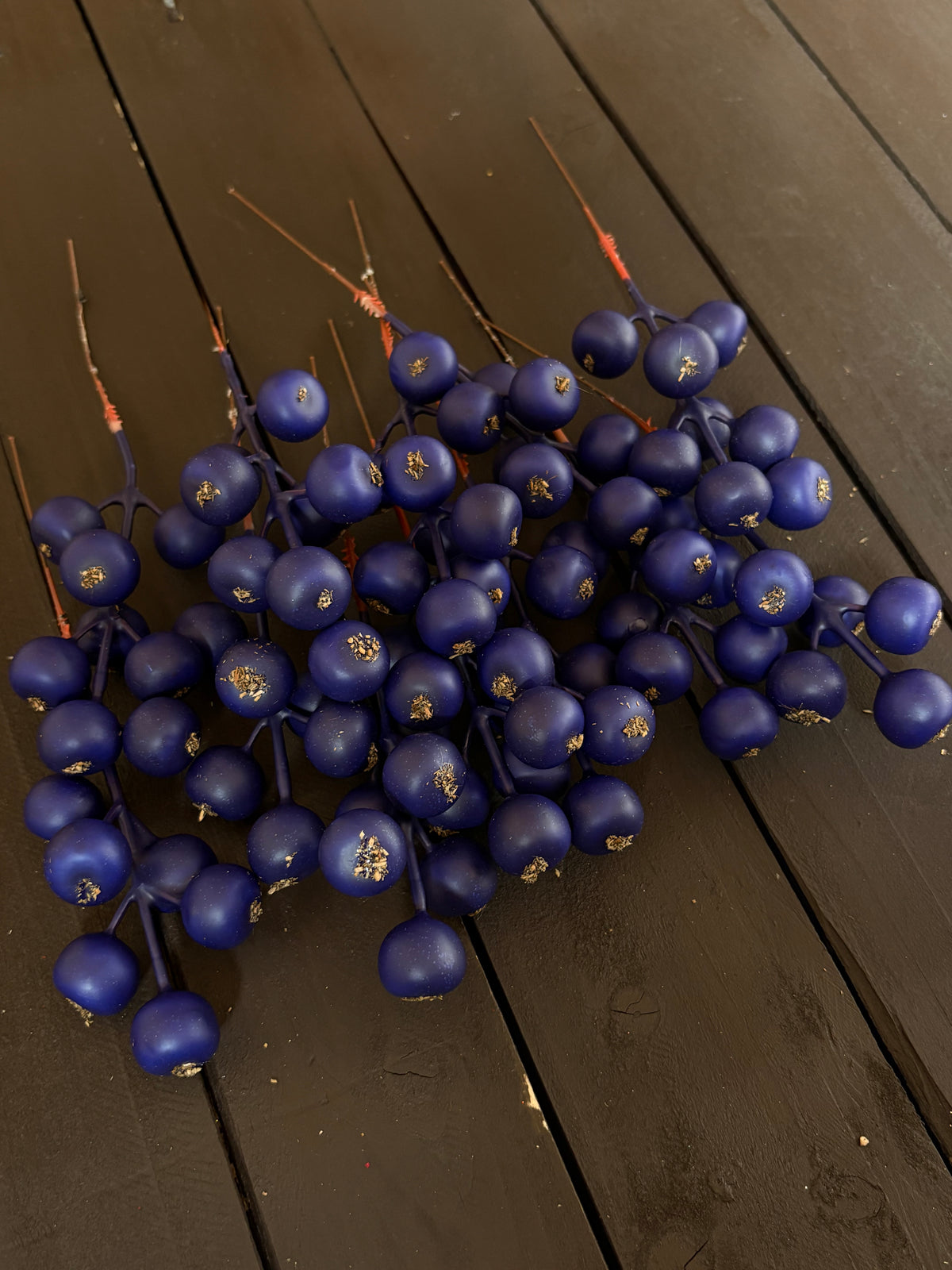 PACK 12 17cm ROSEHIP PICK NAVY