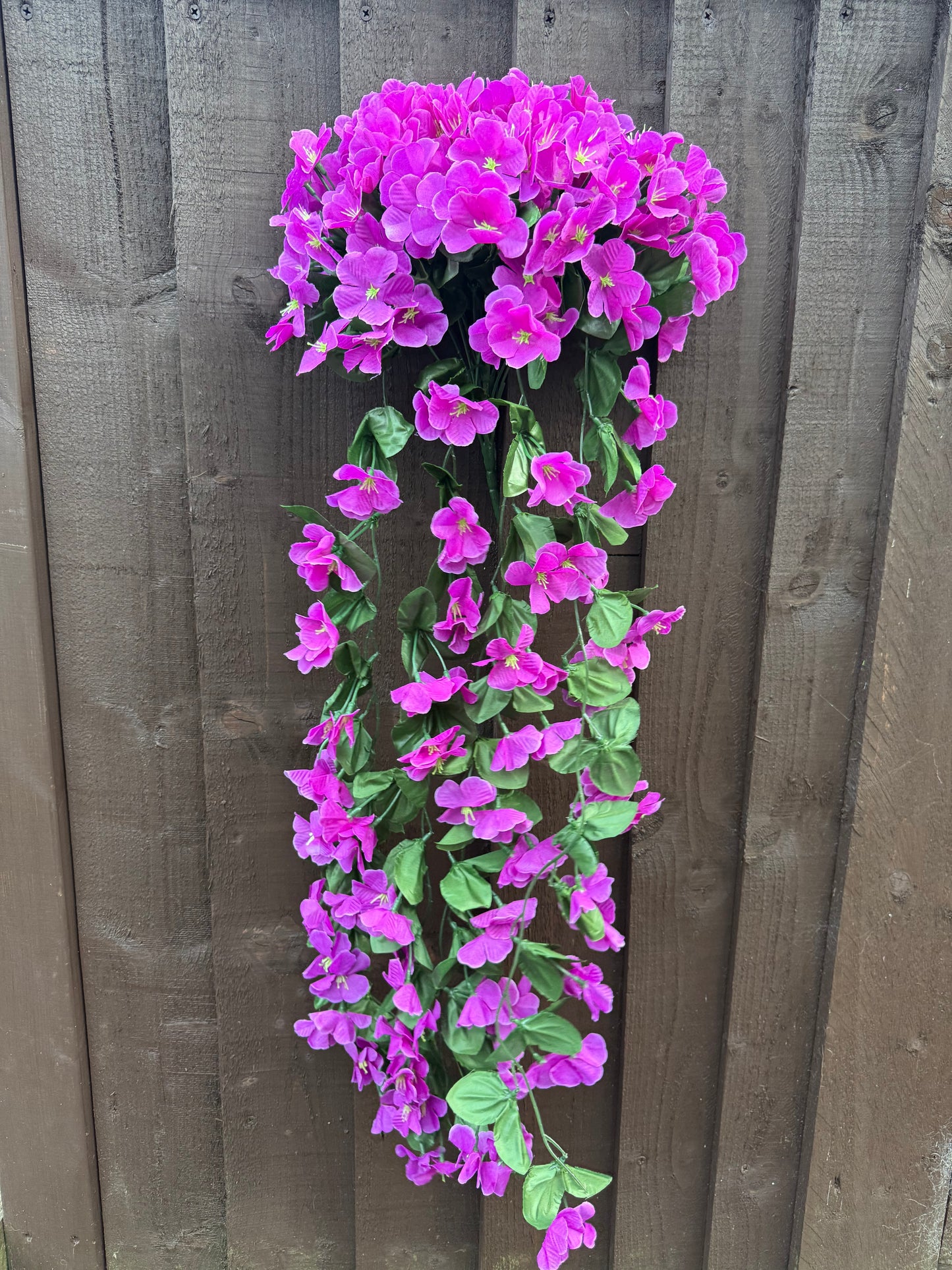 TRAILING BLOSSOM MAGENTA