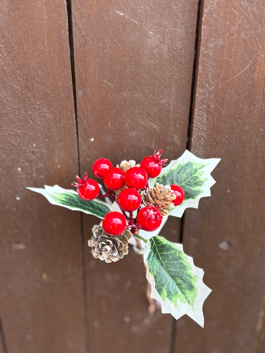 15CM MINI MIXED ROSEHIP & CONE PICK