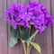 HYDRANGEA