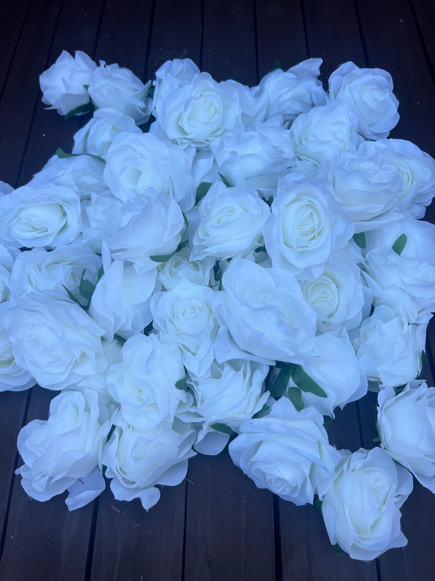 BAG x50 ROSE FLOWER HEADS IVORY